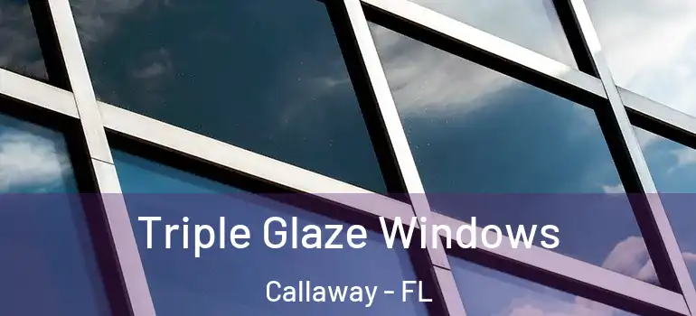  Triple Glaze Windows Callaway - FL
